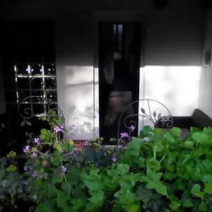 Apartment Poropat, Poreč
